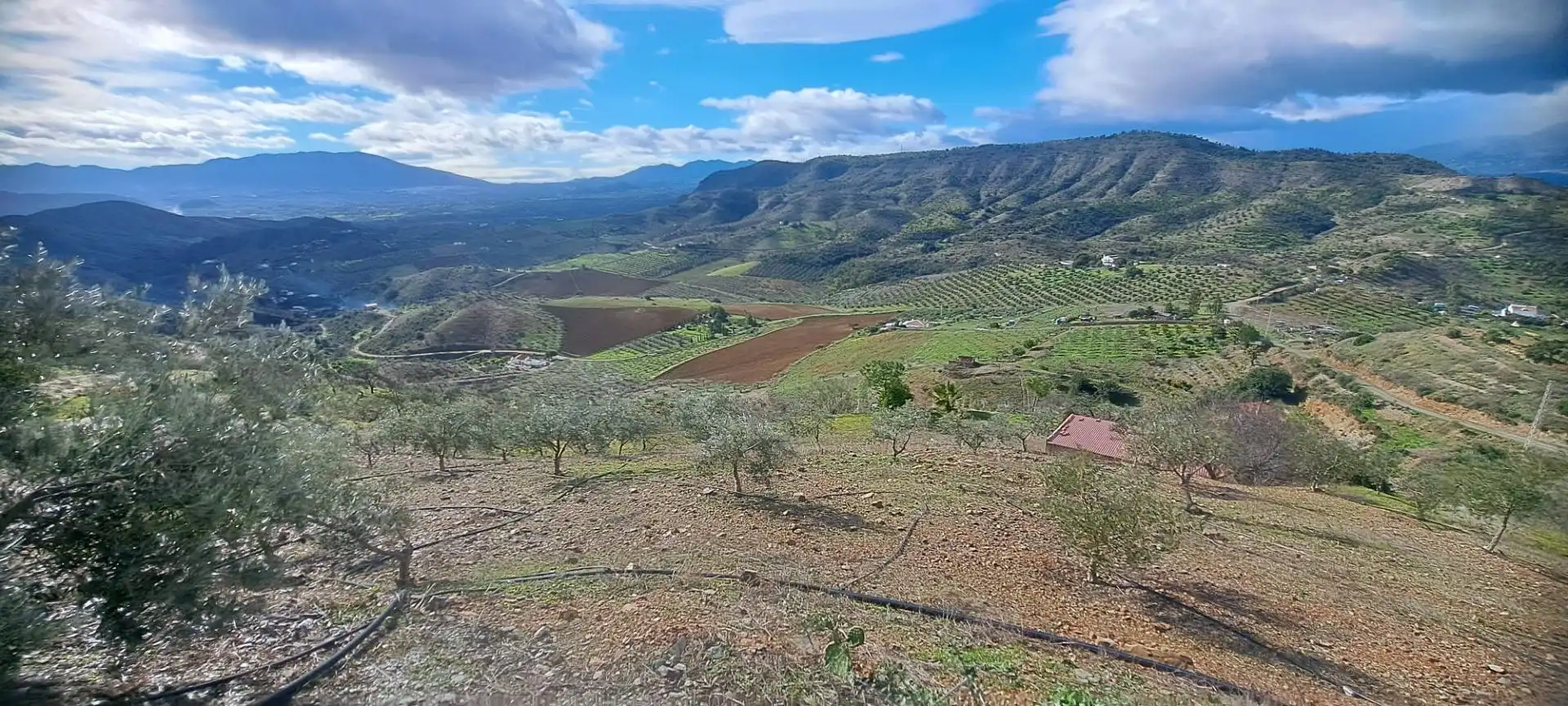 Residencial en venta en Cártama