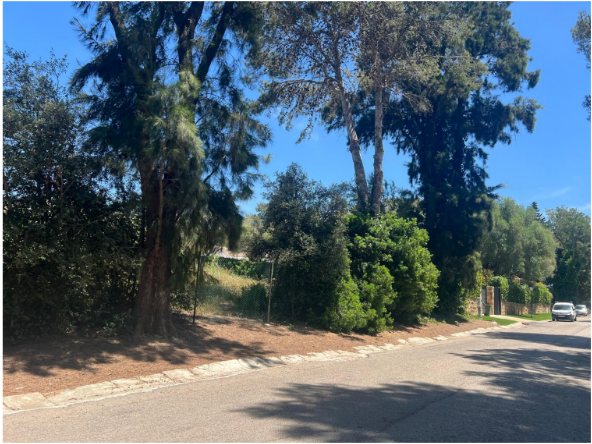 Land for sale in Sotogrande