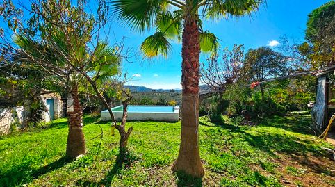 Foto 5 de Finca rústica en venta en Aracena, Huelva