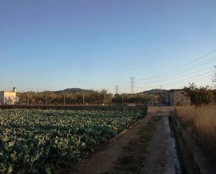 Exterior view of Country house for sale in Llíria