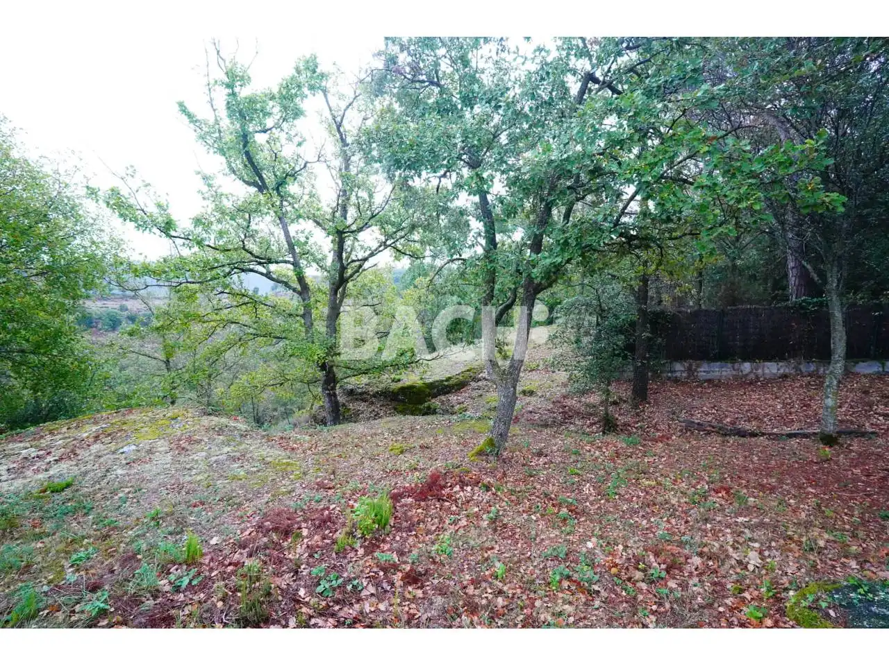 Terreno rustico in vendita a Avenida Goitallops 2, imagen 13