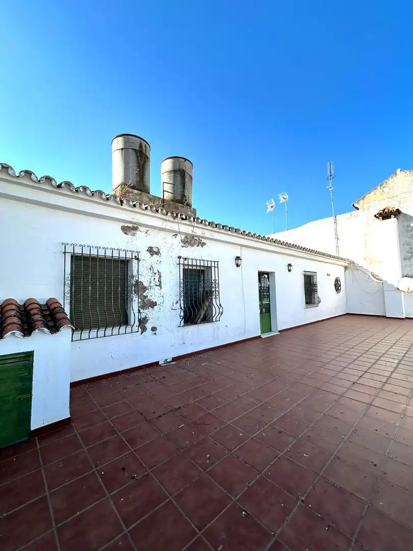 Vista exterior de Casa o chalet en venta en Alcolea del Río con Aire acondicionado, Terraza y Amueblado