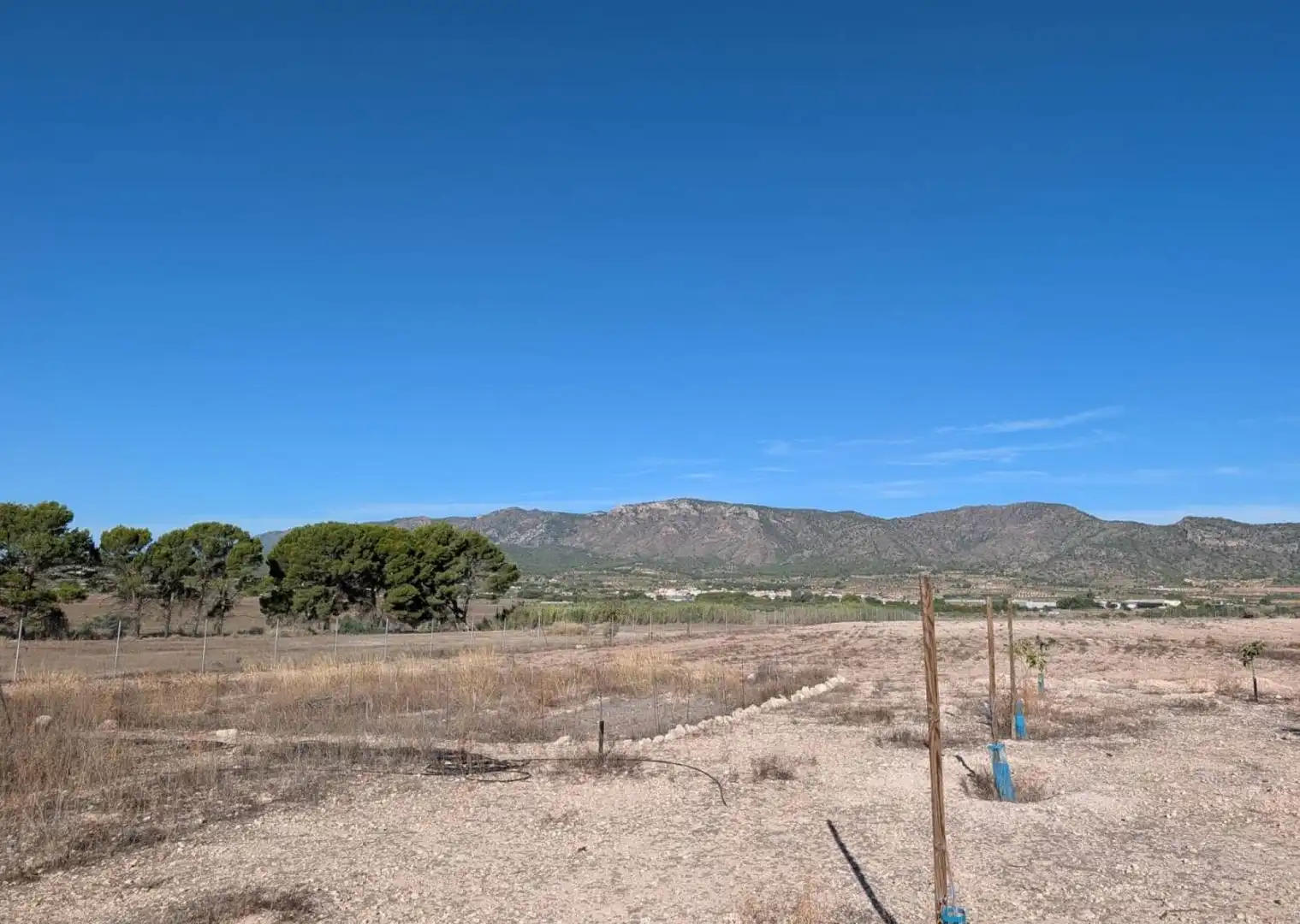 Country house for sale in Salinas, imagen 7
