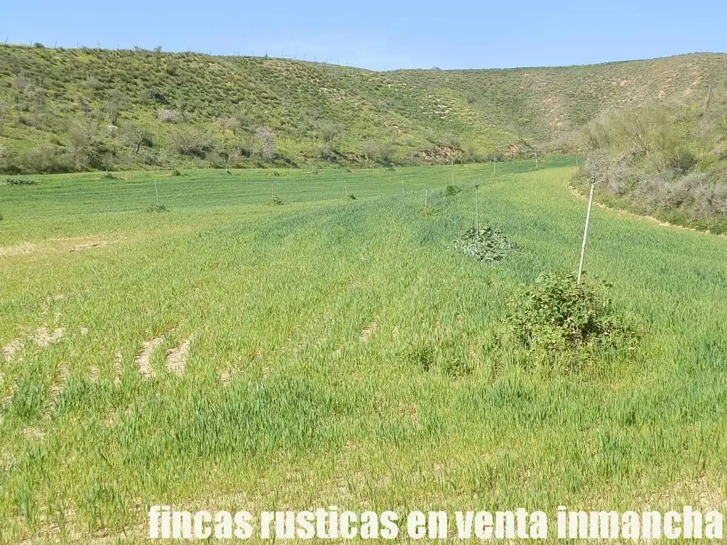 Terreno rustico in vendita a Casco Histórico, imagen 9