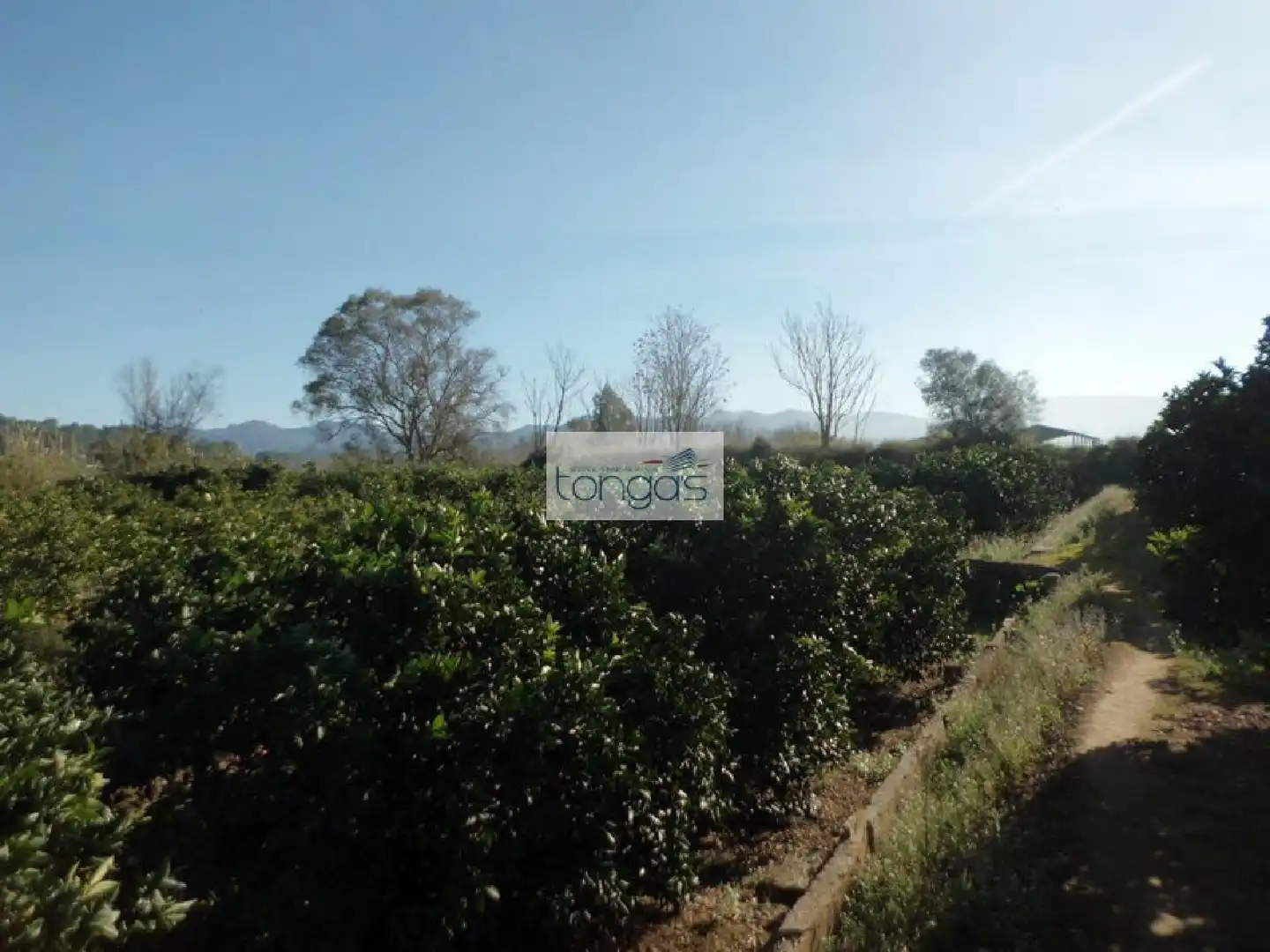 Terreno en venta en Llocnou d'En Fenollet