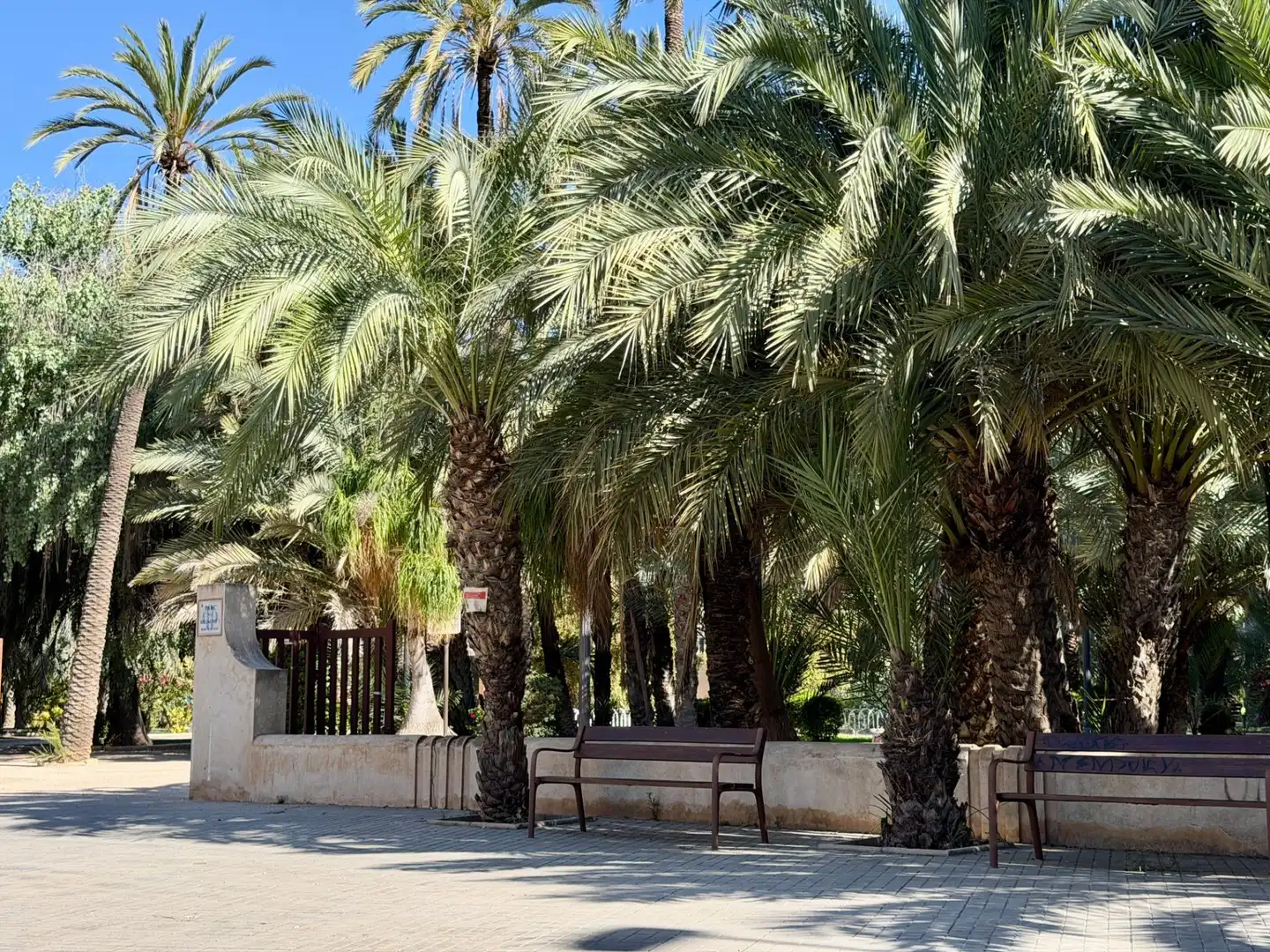 Vista exterior de Pis en venda en Elche / Elx amb Balcó