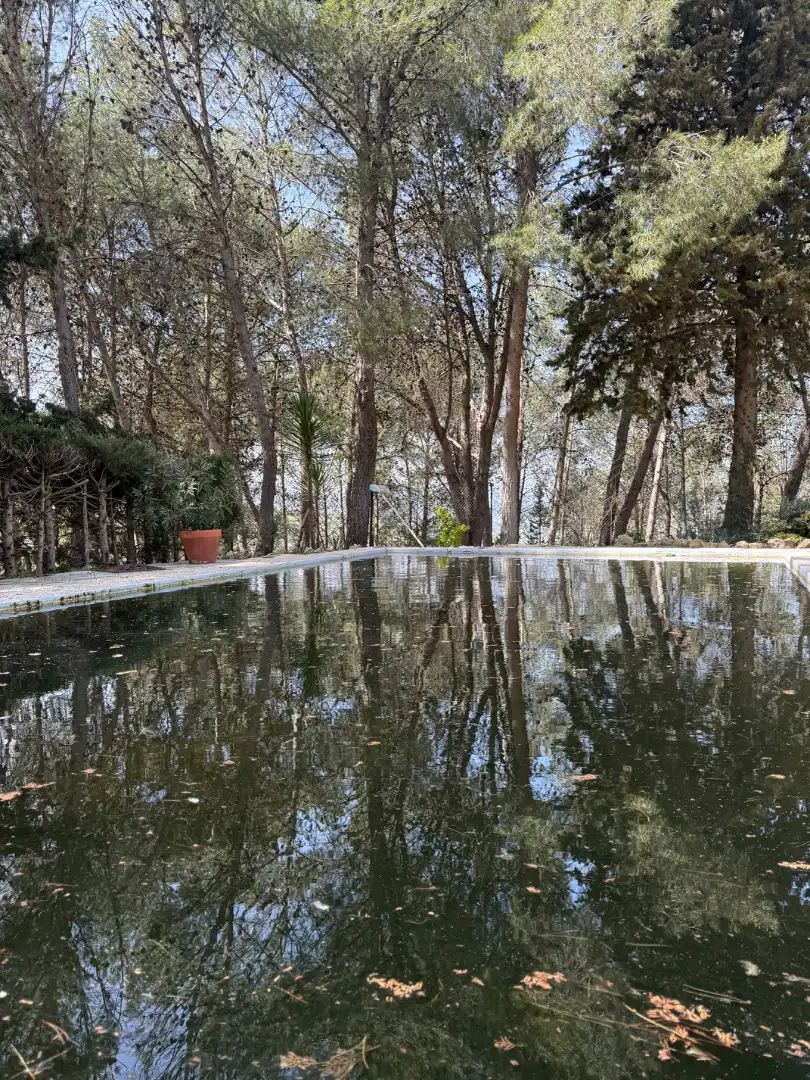 Swimming pool of Houses for sale in Ronda  with Private garden and Swimming Pool