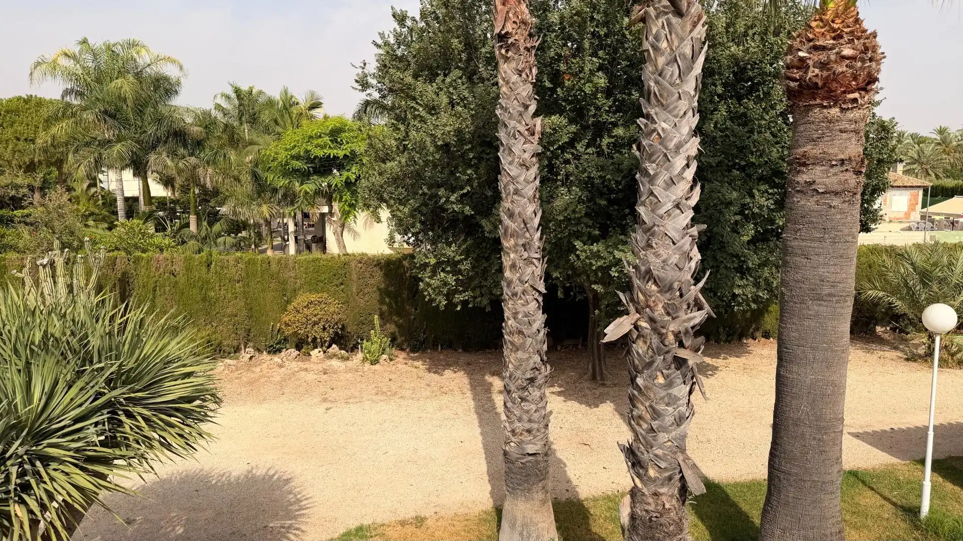Detached house with pool for sale in Alzabares, imagen 61