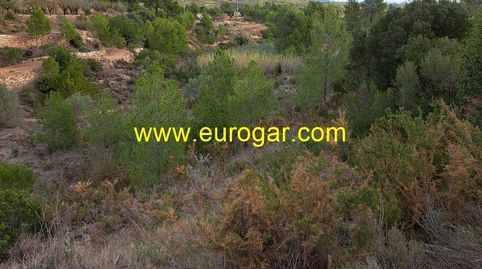 Parcela a la venta en Chiva, immagine 2