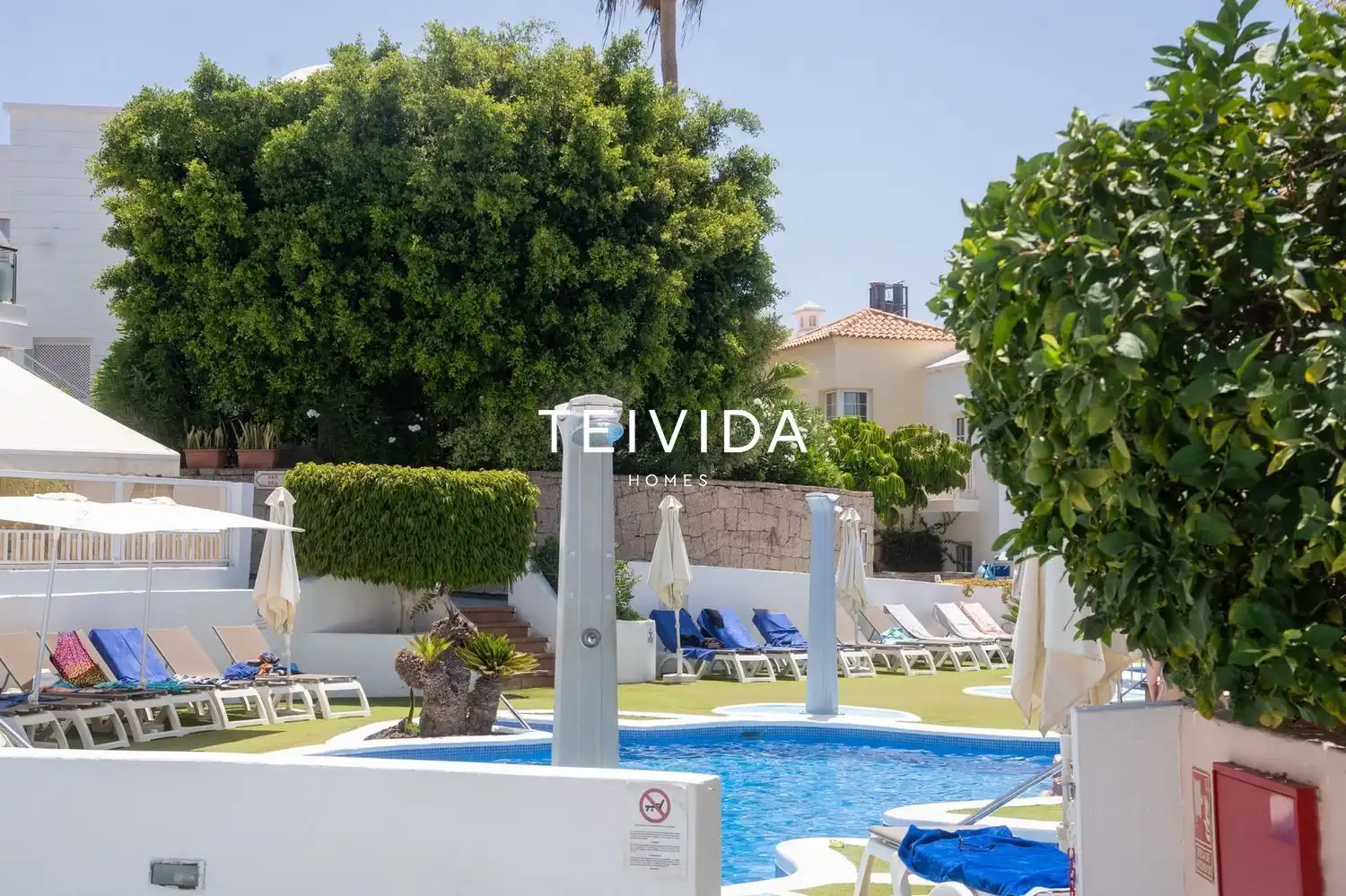 Swimming pool of Flat for rent in Adeje  with Terrace, Swimming Pool and Furnished