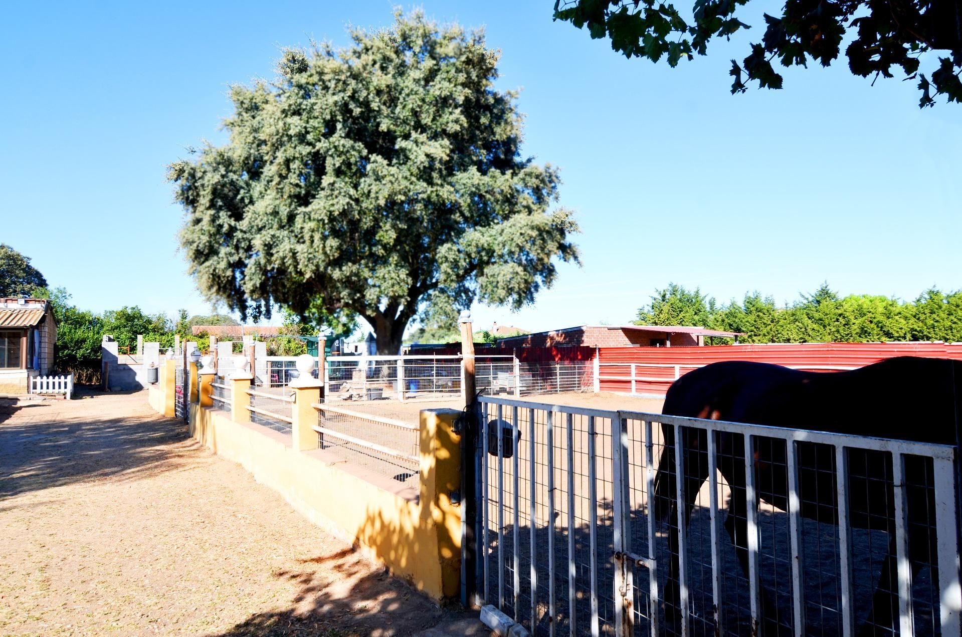 Vista exterior de Casa o xalet en venda en Calvarrasa de Arriba amb Calefacció