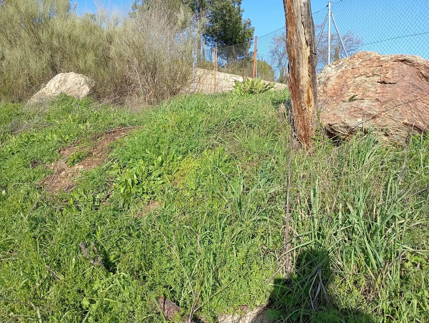 Terreni e lotti in vendita a Robledo de Chavela, imagen 15