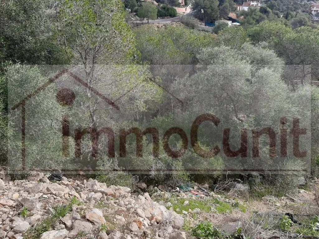 Residential land for sale in Mas Trader - Corral d'En Tort - Corral d'En Cona