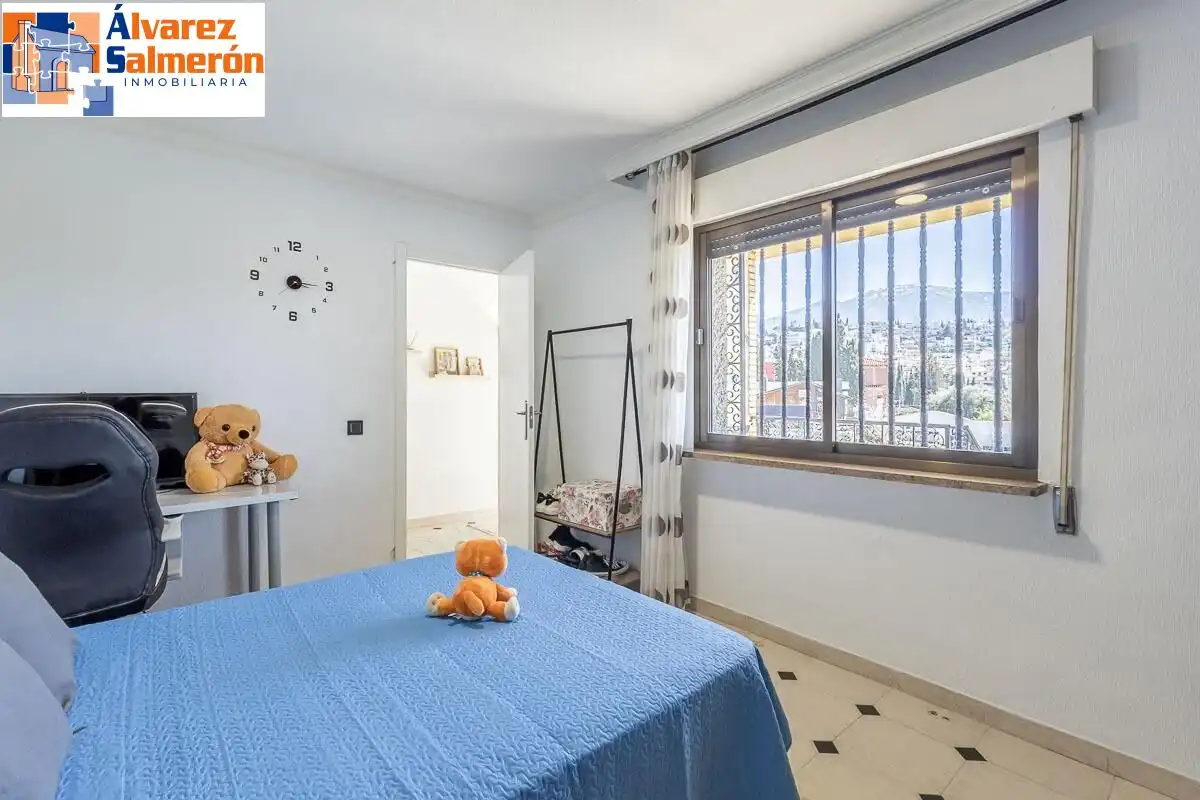 House with garden for sale in Calle MOLINILLO, imagen 12