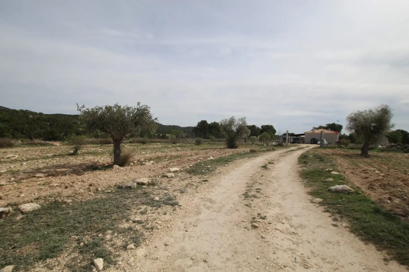 Maison rustique à vendre à Monóvar  / Monòver, imagen 15