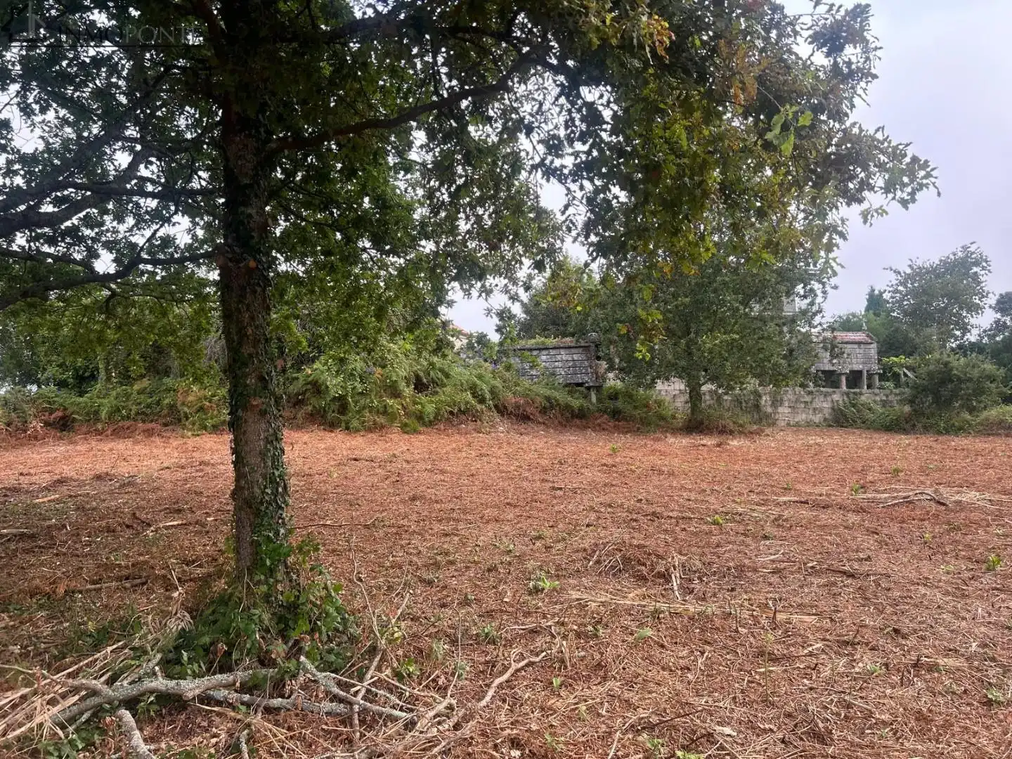Terrenys i solars en venda a Parroquias Rurales, imagen 16