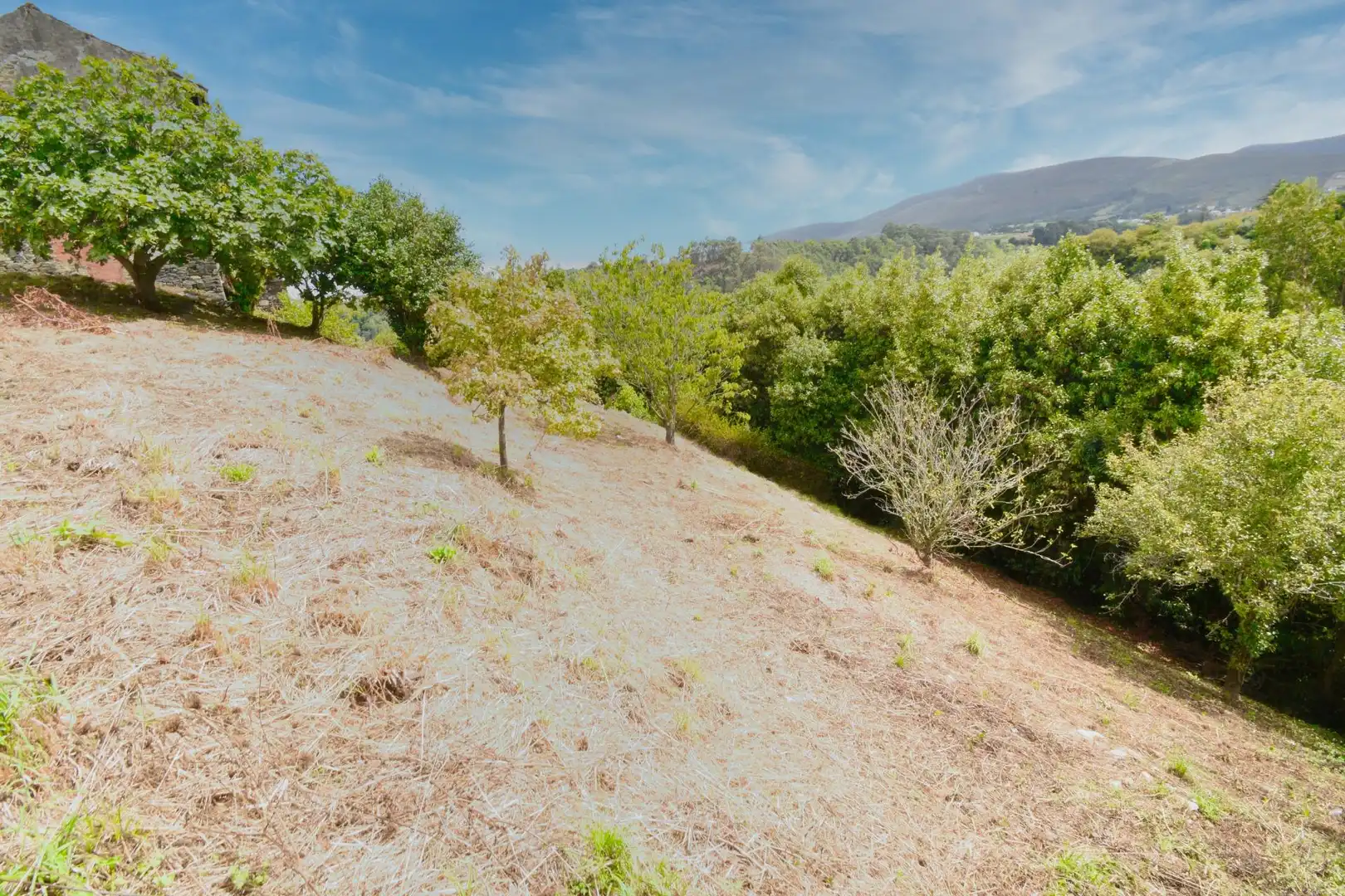 Residential for sale in Valdés - Luarca