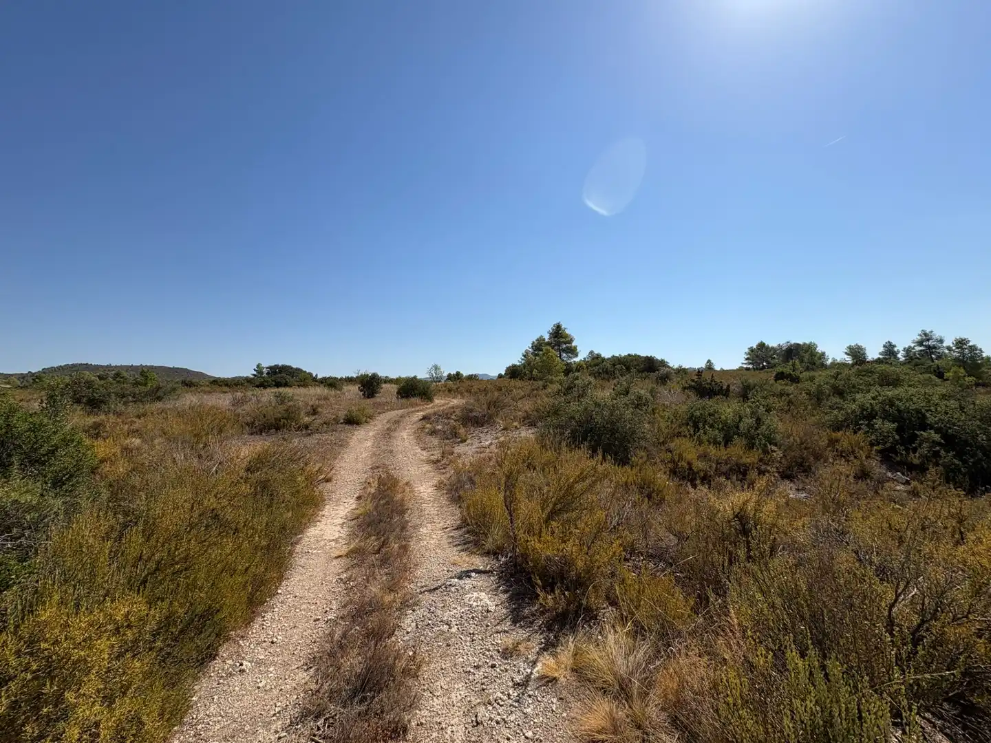 Terreno rustico in vendita a Cervià de Les Garrigues, imagen 22