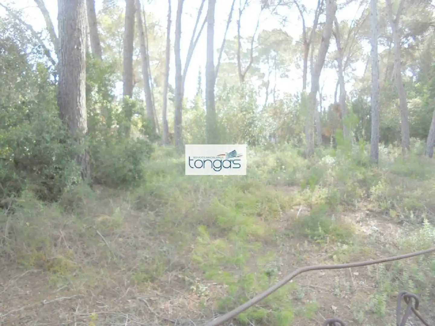 Terreno residencial en venta en El Genovés, imagen 15