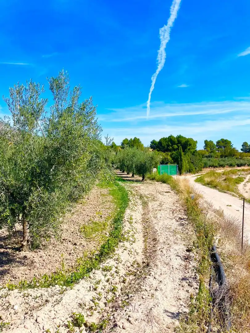 Terrenos y solares en venta en Vélez-Blanco, imagen 6