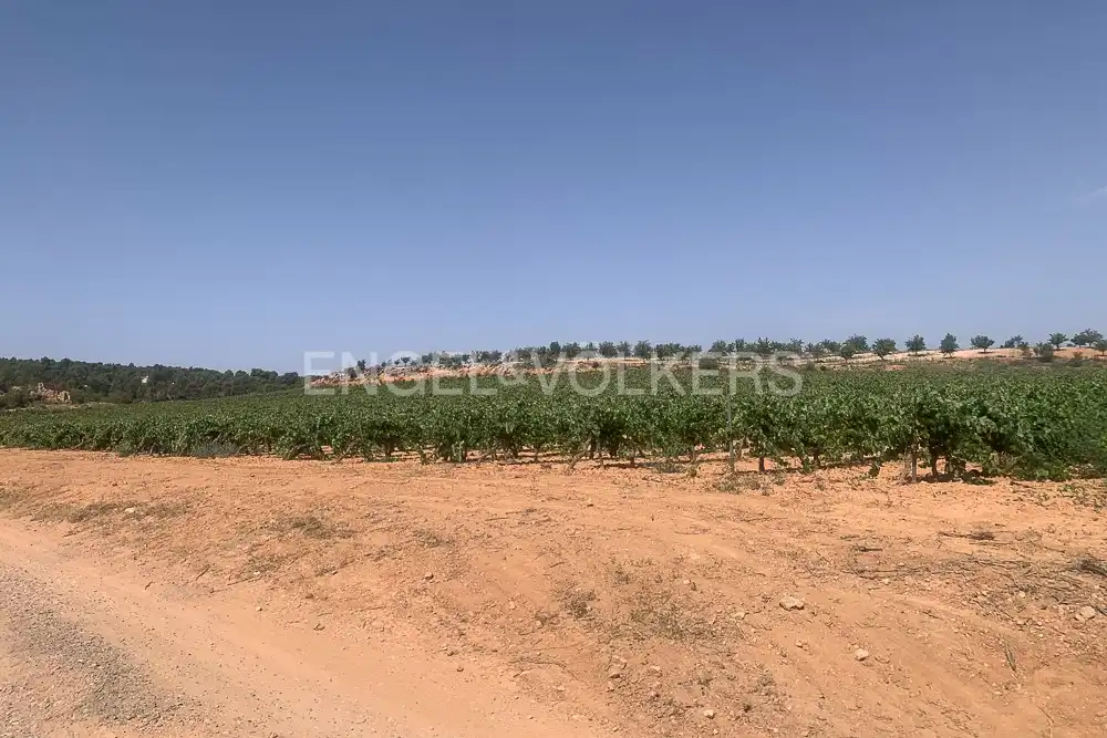 Lands and plots for sale in Requena, imagen 7