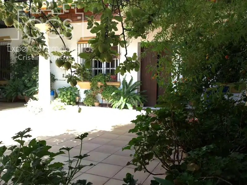 Adossat en venda a La Palma del Condado, imagen 9