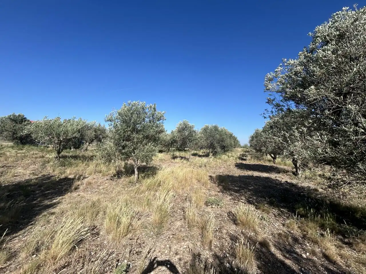 Finca rústica en venta en Ablitas