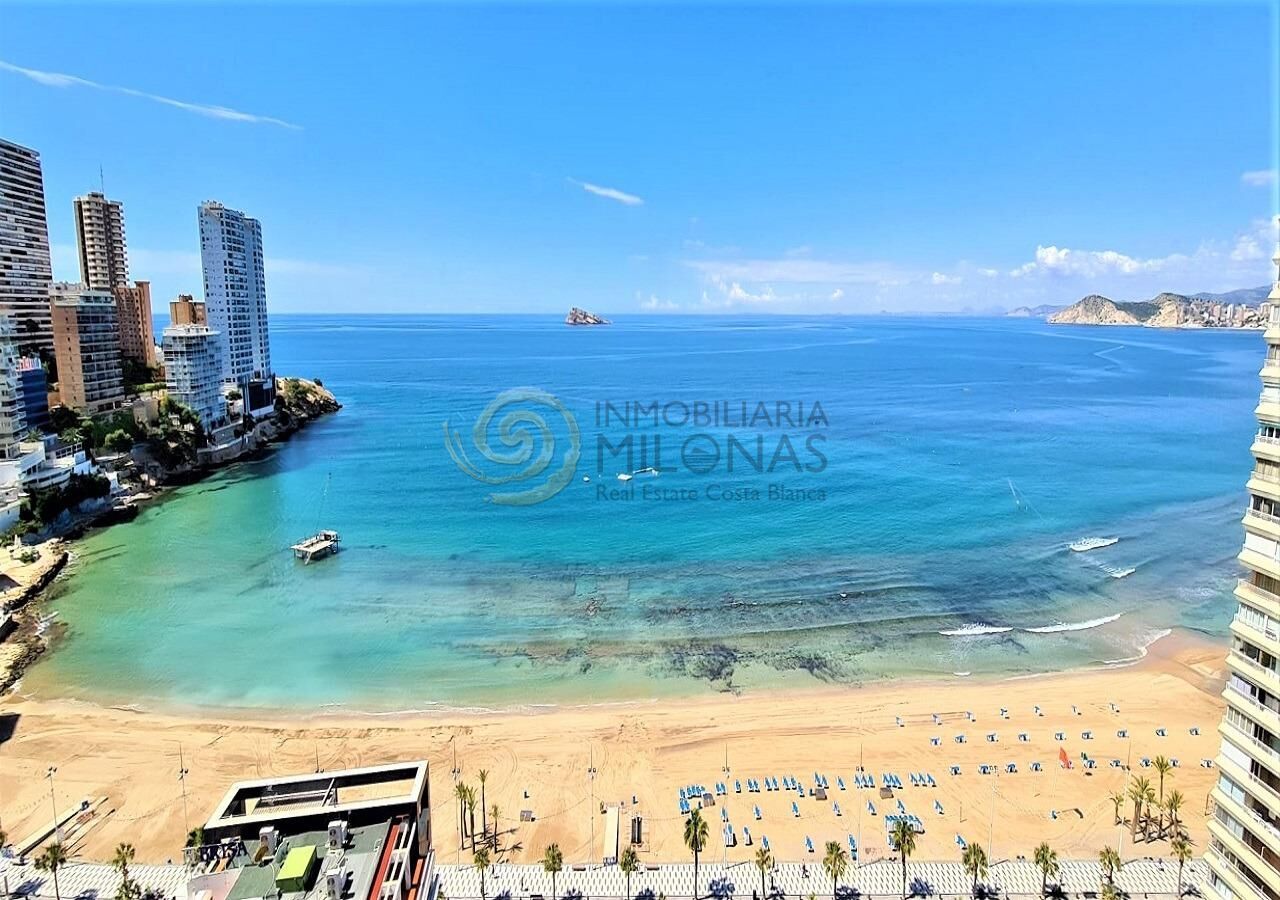 Vista exterior de Apartament en venda en Benidorm amb Aire condicionat, Calefacció i Terrassa
