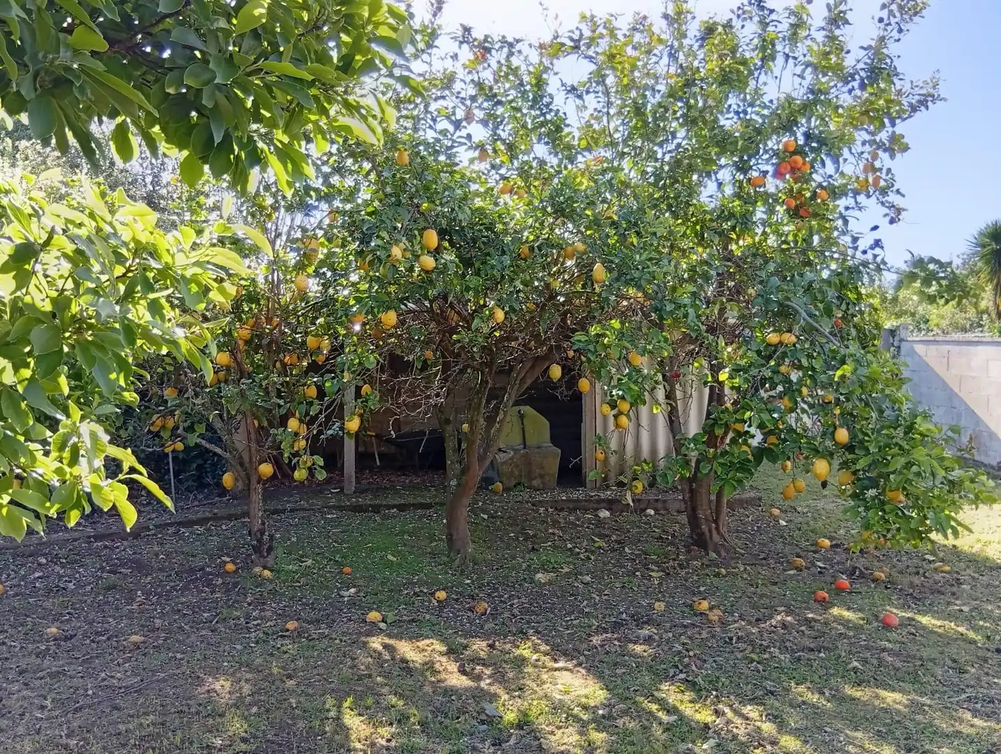 House with garden for sale in Mugardos, imagen 14