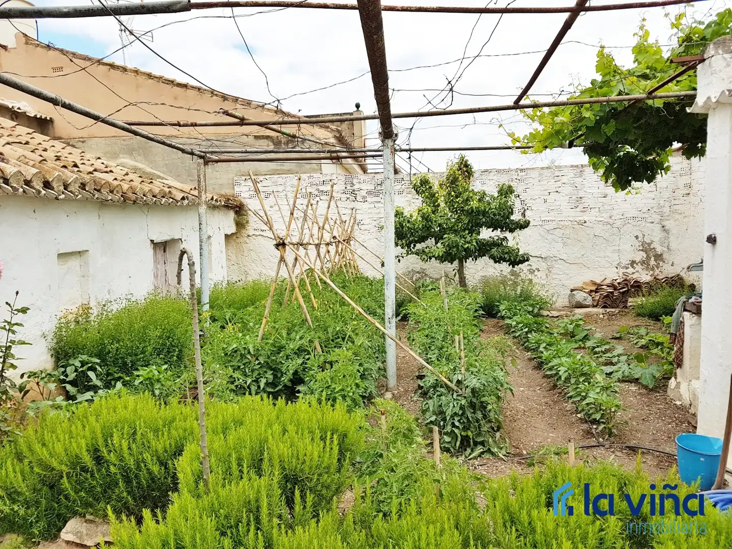 Jardí de Casa o xalet en venda en Antequera