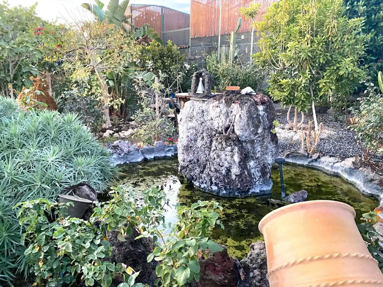 Jardí de Casa o xalet en venda en San Pedro del Pinatar amb Piscina