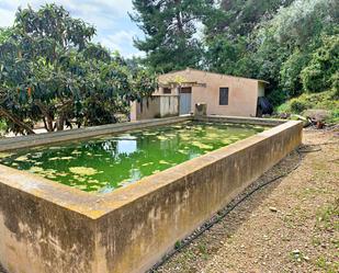 Piscina de Finca rústica en venda en Tortosa