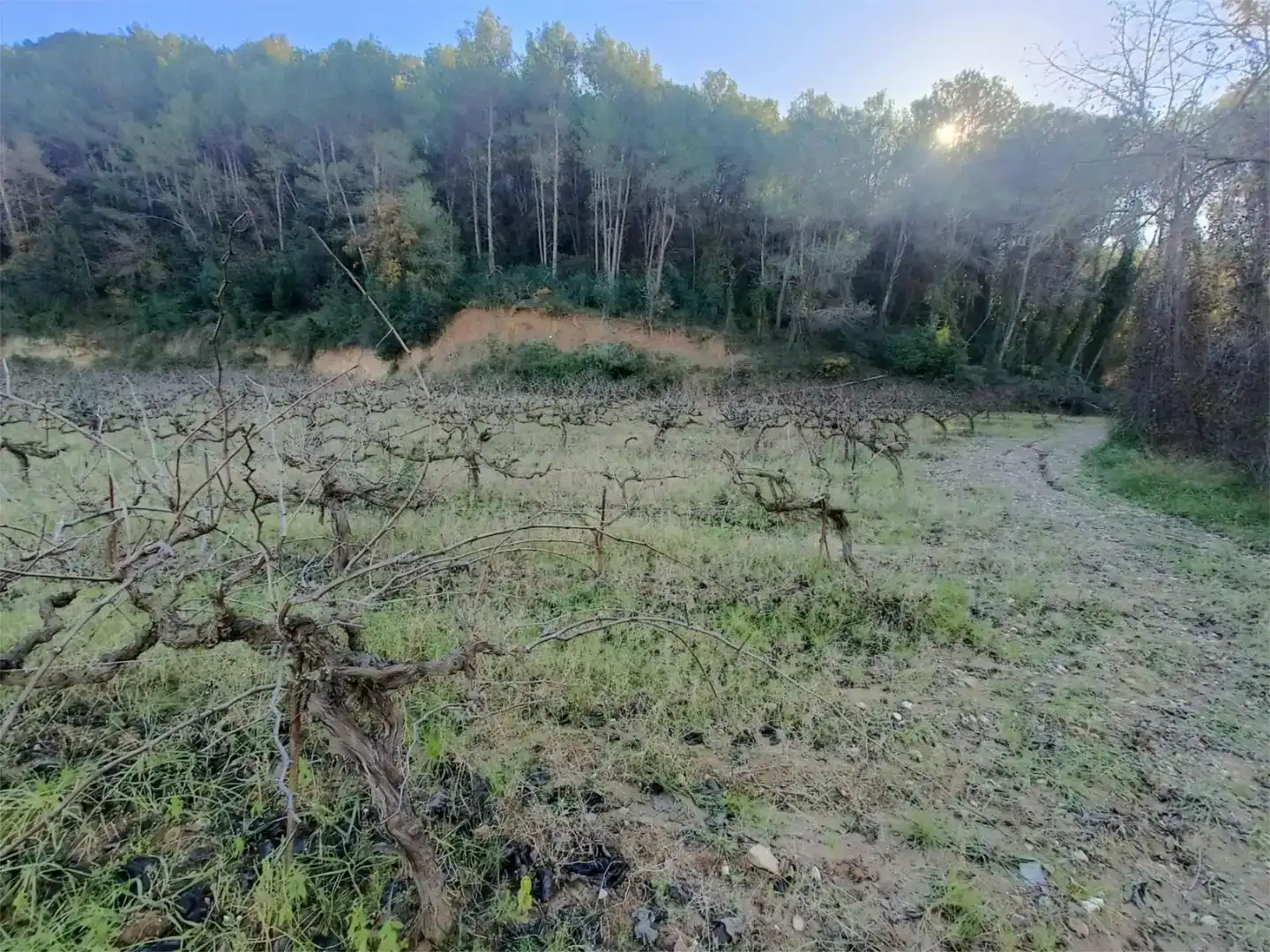 Finca rústica en venda en Esparreguera