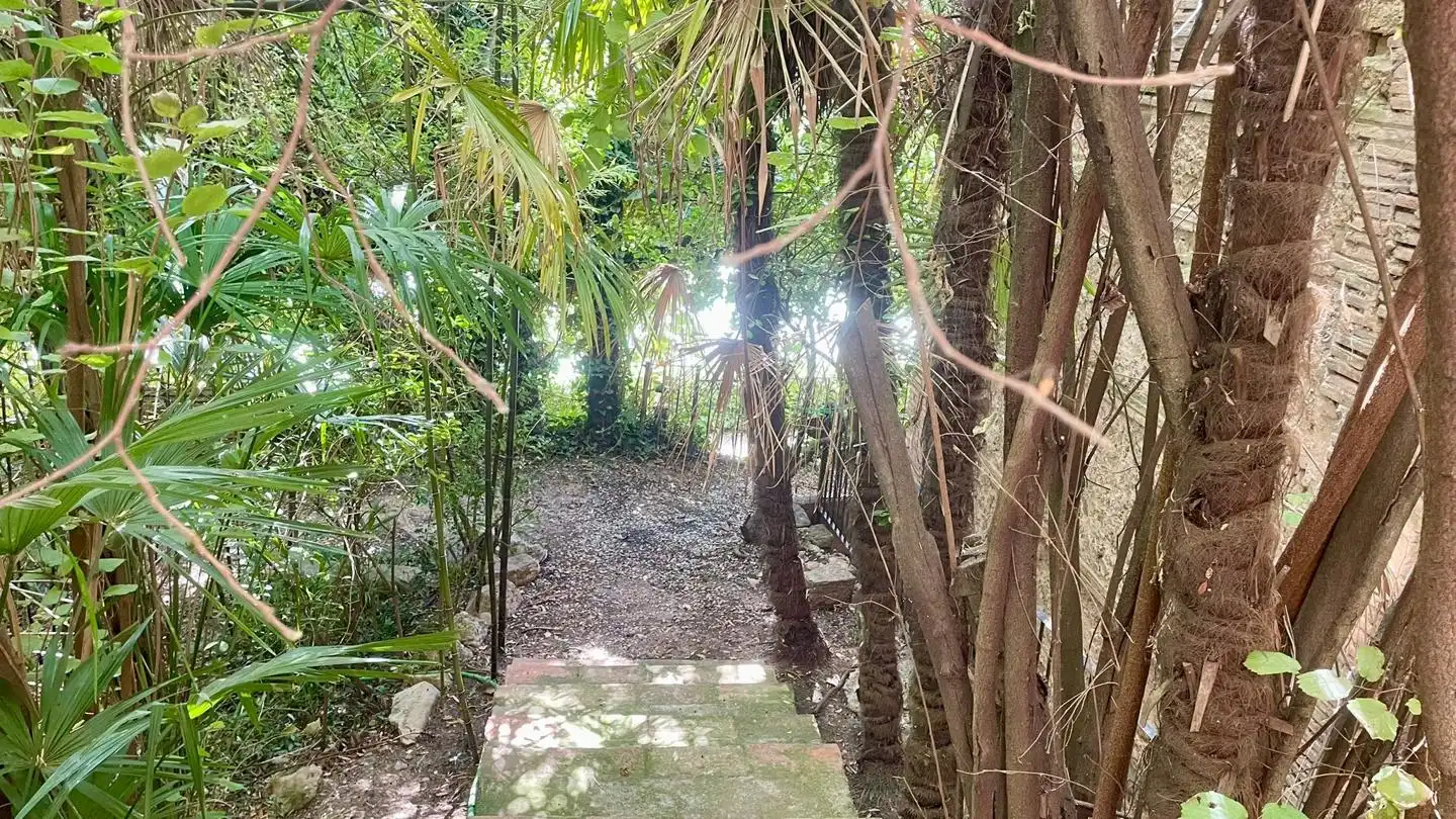 Haus mit Garten zum Verkauf in La Parra, imagen 36