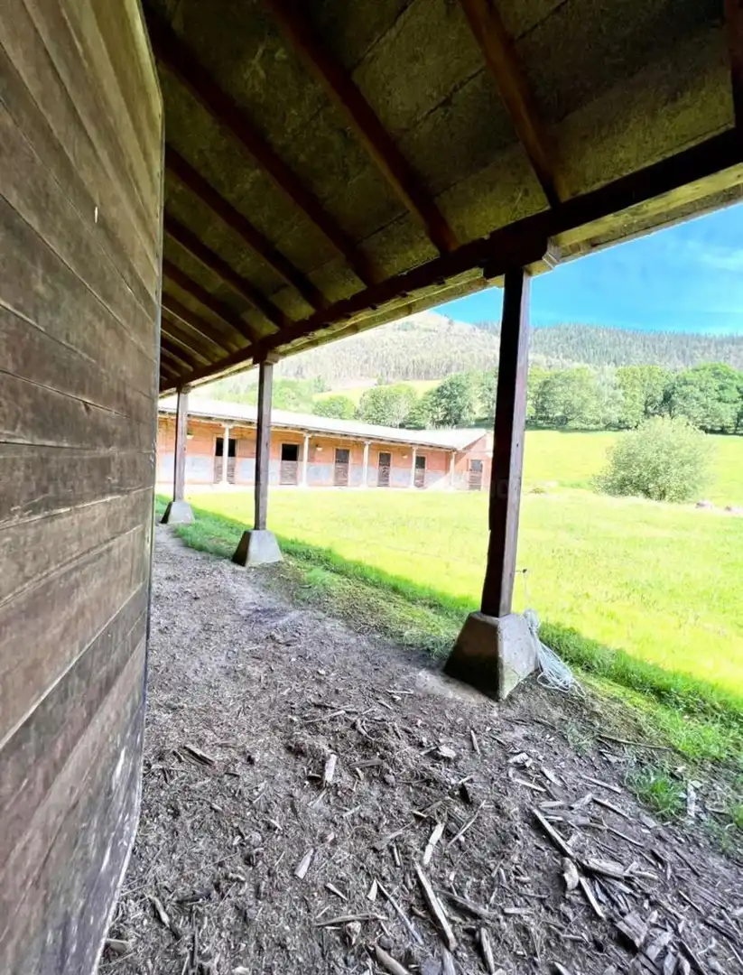 Vista exterior de Casa o chalet en venta en Piloña con Calefacción y Jardín privado