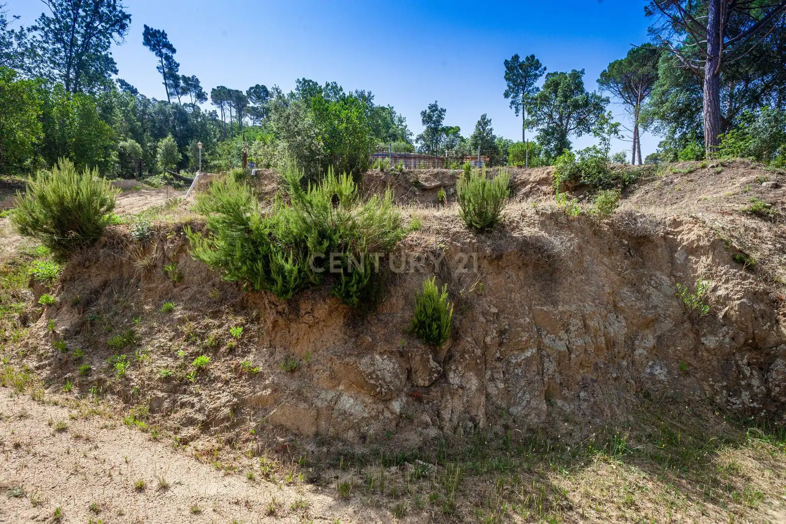 Terreno residencial en venta en Mimoses 527, imagen 7