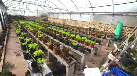 Foto 5 de Finca rústica en venda a Es Migjorn Gran poble, Es Migjorn Gran