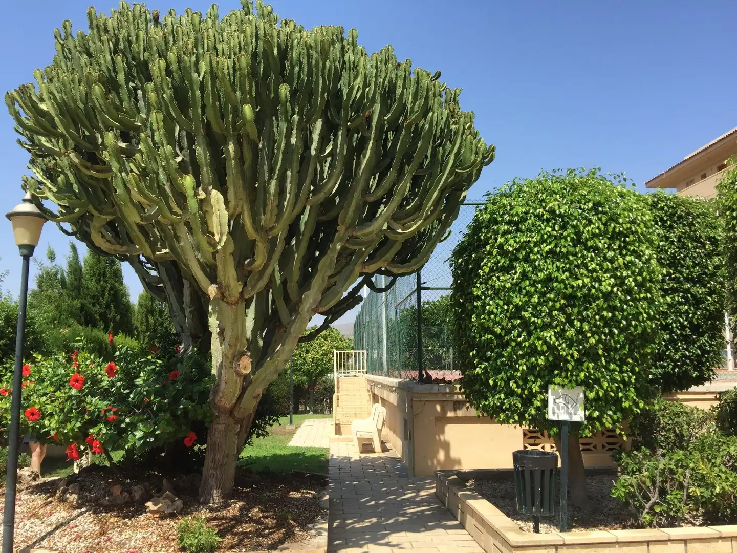 Garden of Flat for sale in El Campello  with Private garden, Terrace and Balcony
