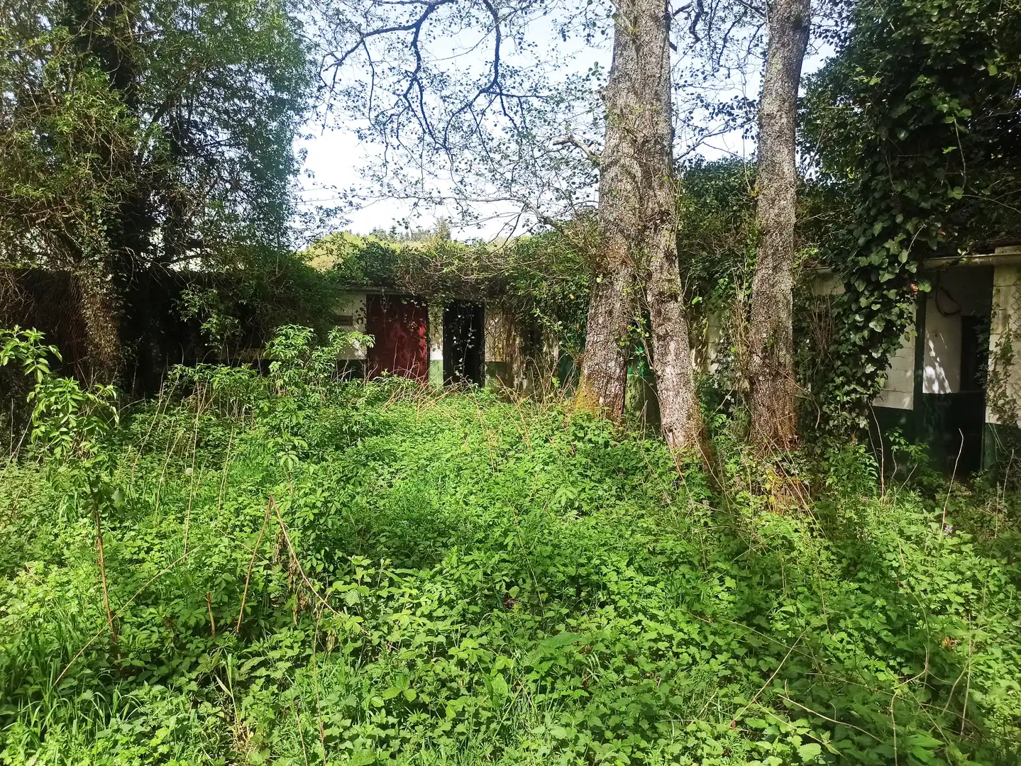 Terreni e lotti in vendita a Parroquias del Este, imagen 4