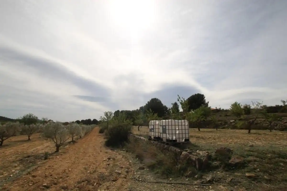 Detached house for sale in Monóvar  / Monòver, imagen 7