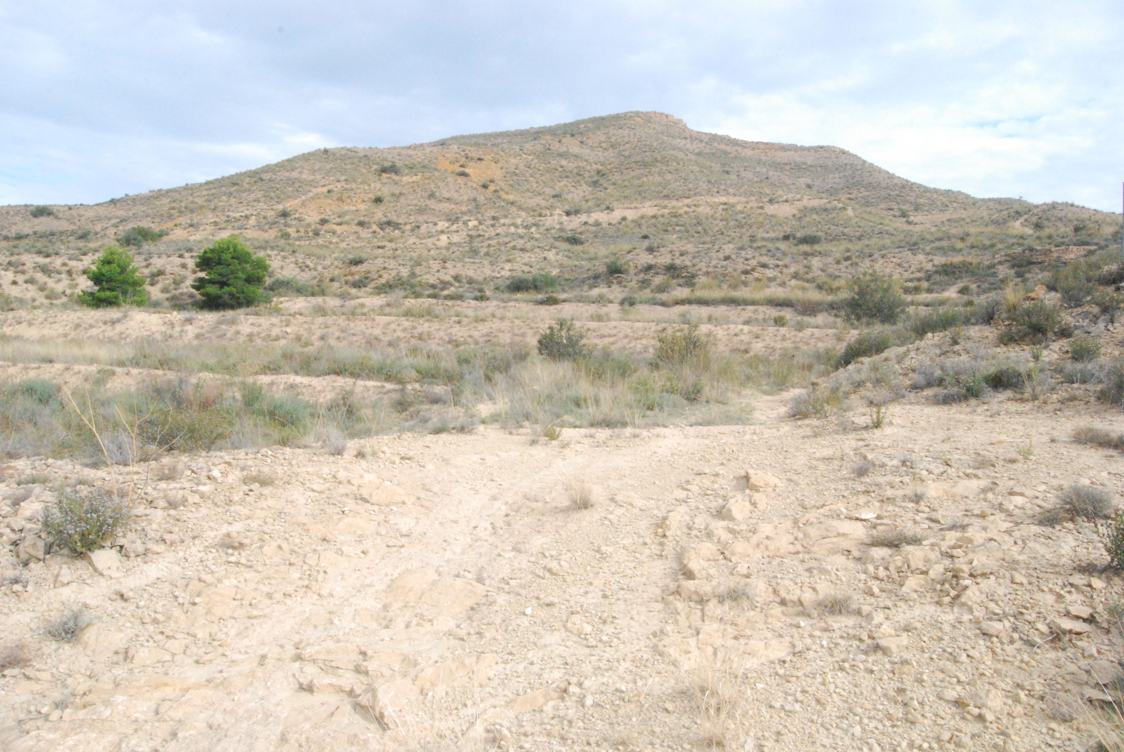 Terreno en venta en Mutxamel
