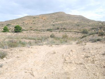 Terreno rústico en venta en Valle del Sol