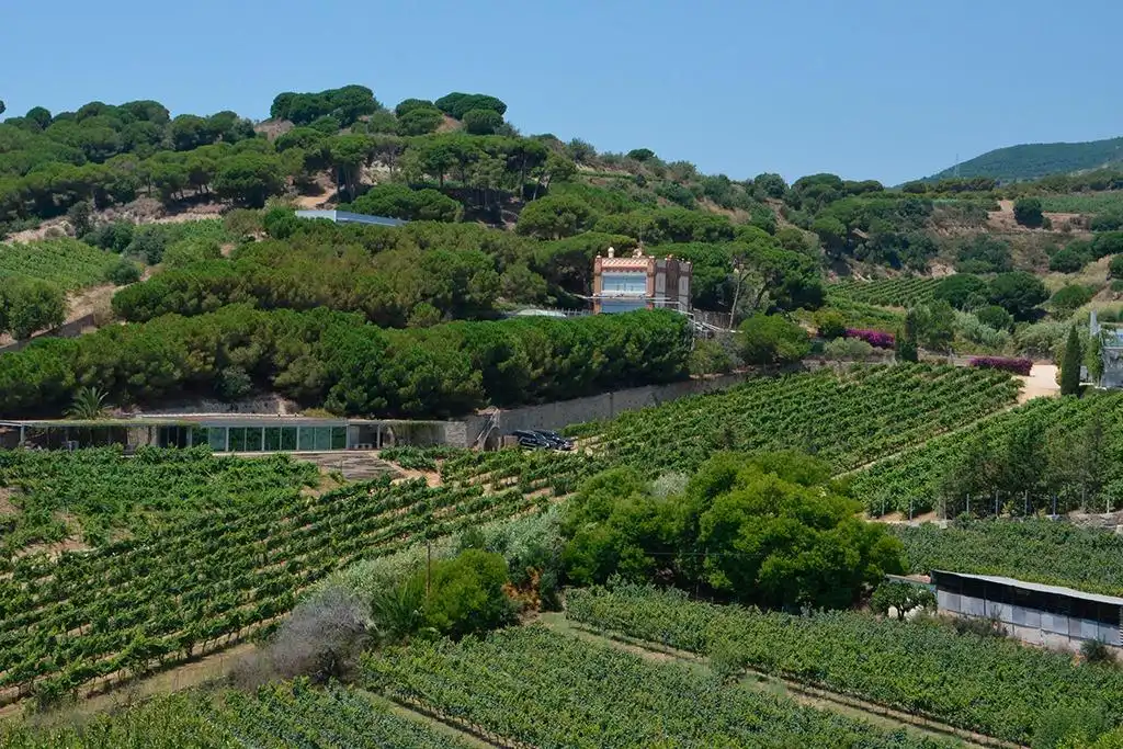 Jardí de Casa o xalet en venda en El Masnou amb Aire condicionat, Terrassa i Piscina