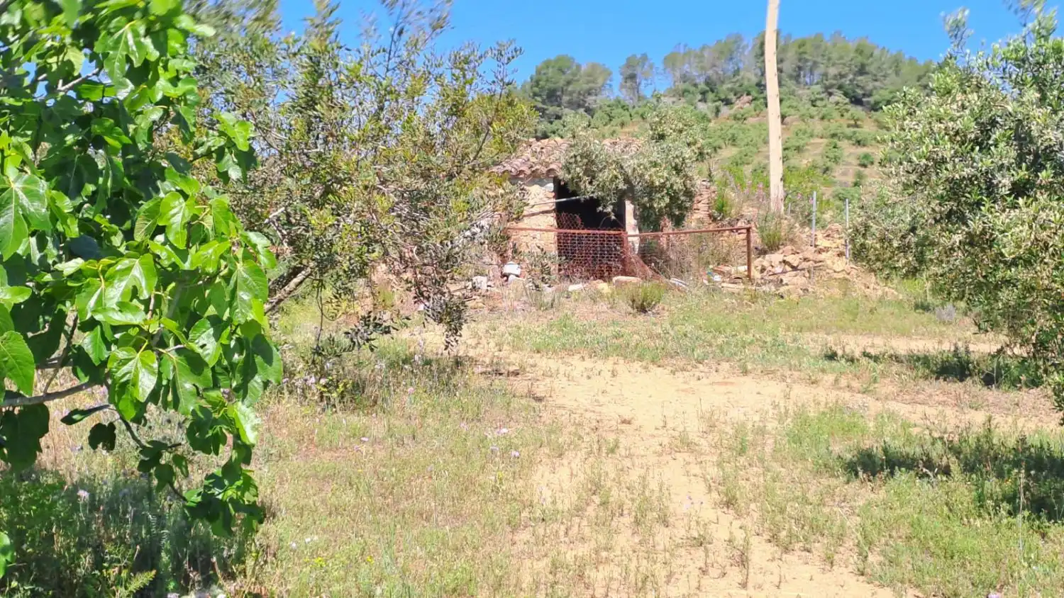 Finca rústica en venda en Riudecanyes