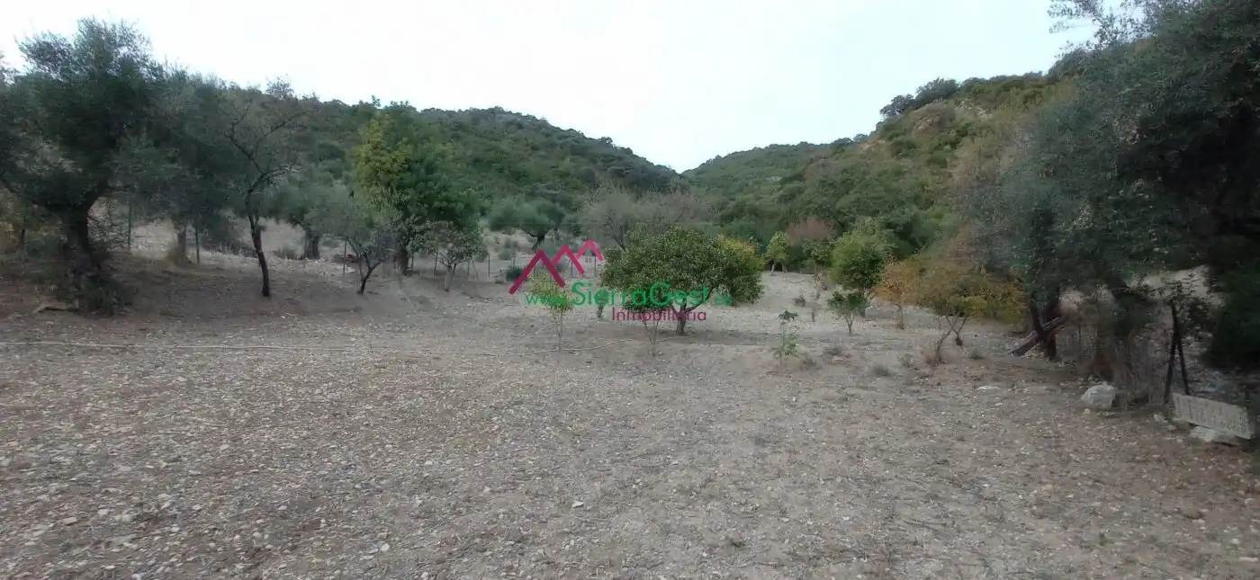 Terreni e lotti in vendita a Benaocaz, imagen 48