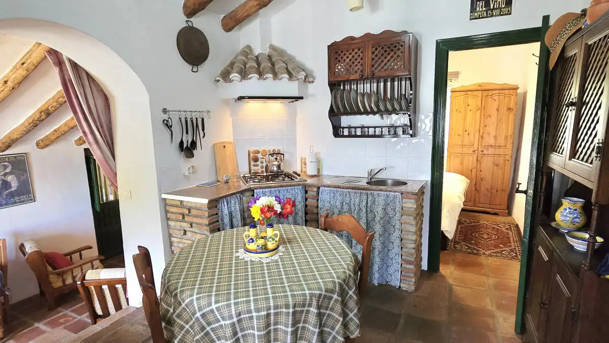 Casa rústica amb jardí en venda a Cómpeta, imagen 40