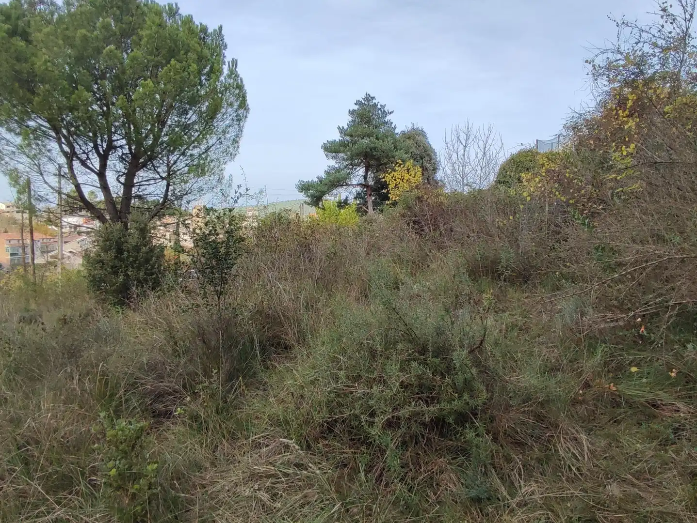 Terrain rustique à vendre à Monistrol de Calders, imagen 18