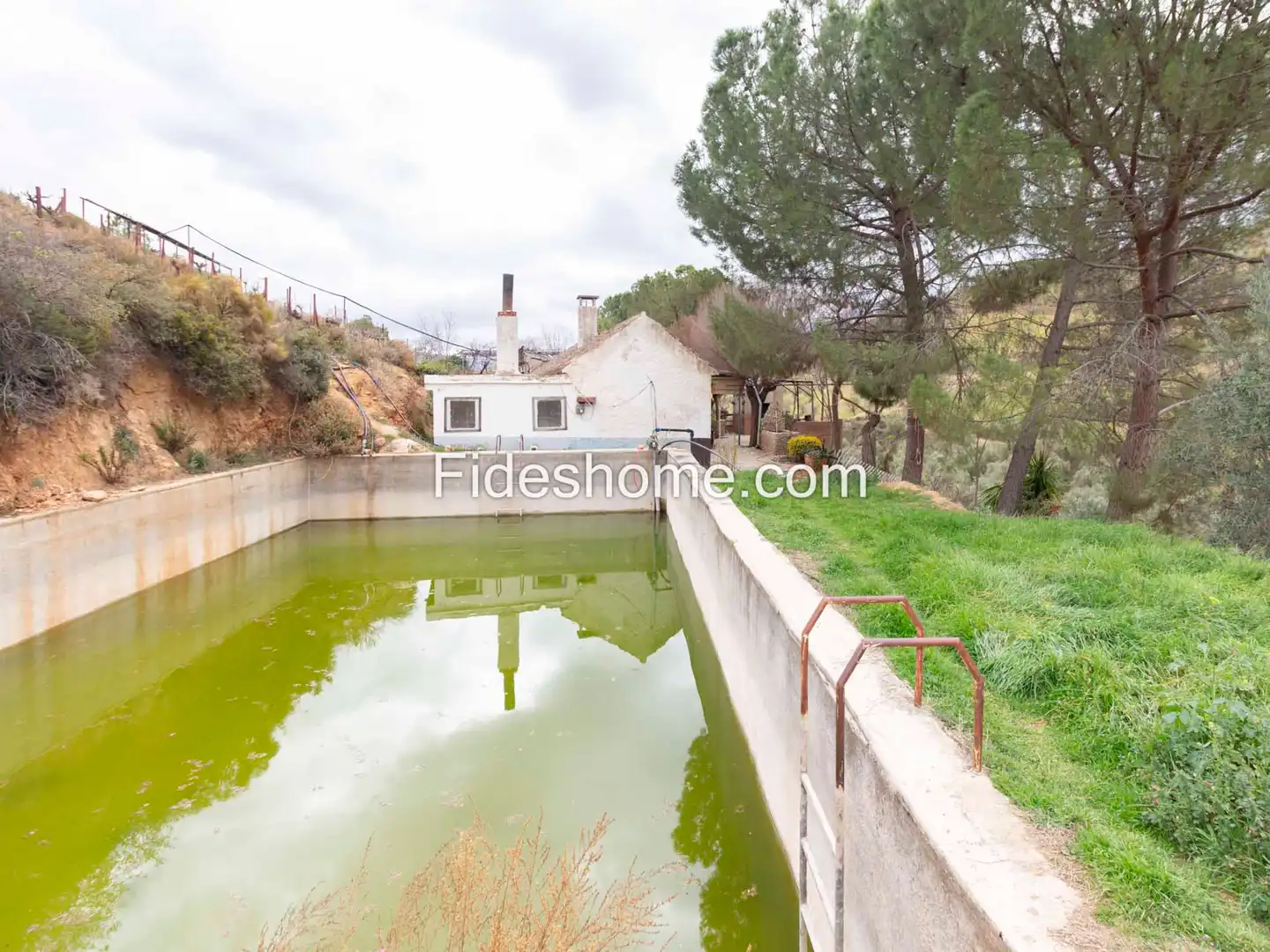 Vista exterior de Finca rústica en venda en Villamena amb Jardí privat, Piscina i Moblat