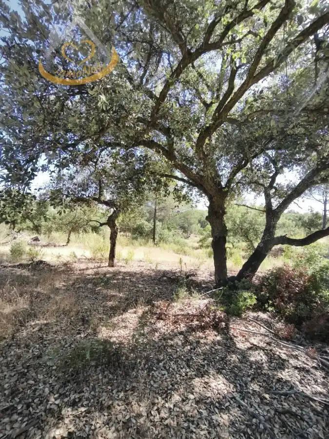 Terreni e lotti in vendita a Moguer, imagen 6