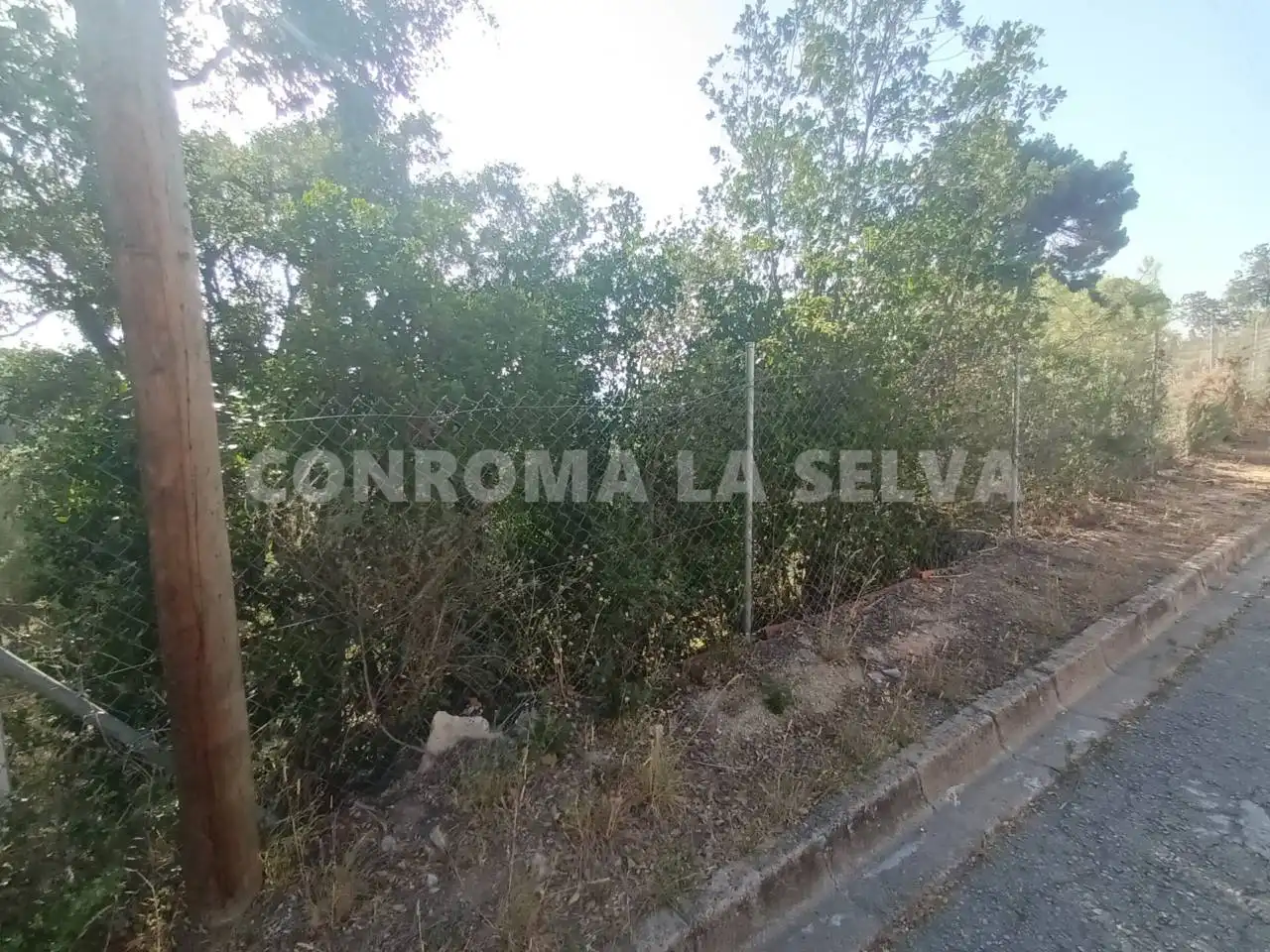 Terrenys i solars en venda a Montbarbat, imagen 8